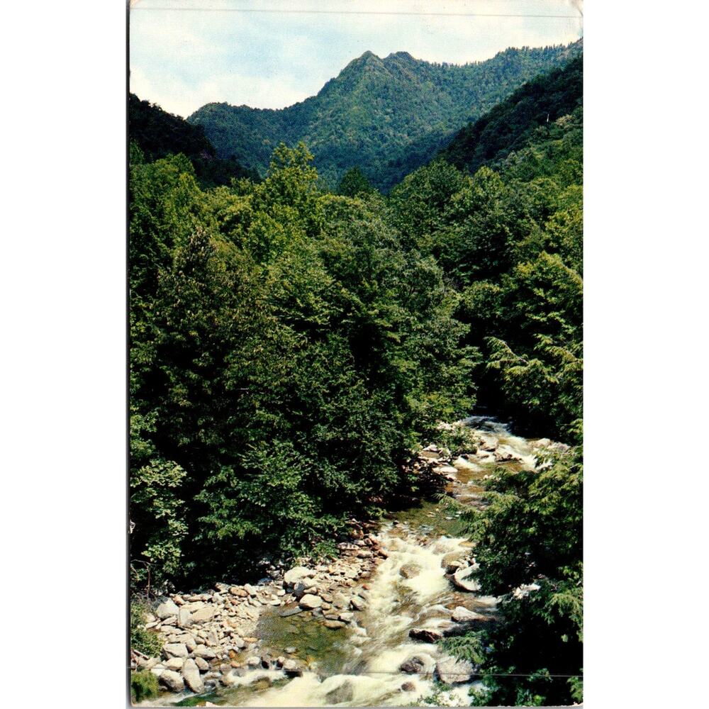 Little Pigeon River & The Chimney Tops 1955 Vintage Postcard SP17-15